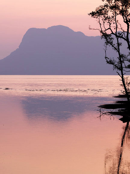 Birding Sarawak Borneo