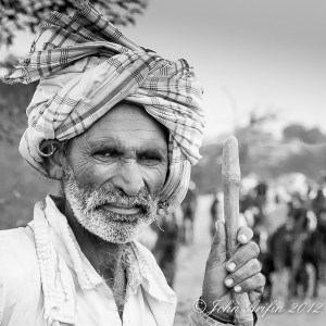 Bird watching and photographing wildlife in Little Rann Gujarat