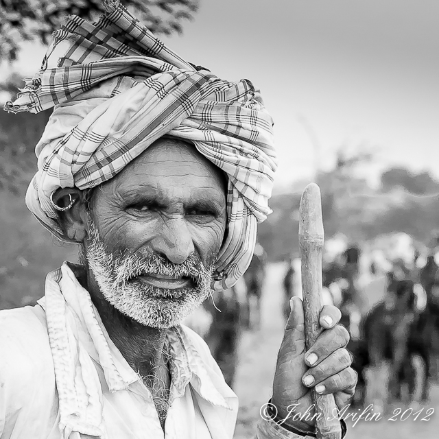 Bird watching and photographing wildlife in Little Rann Gujarat