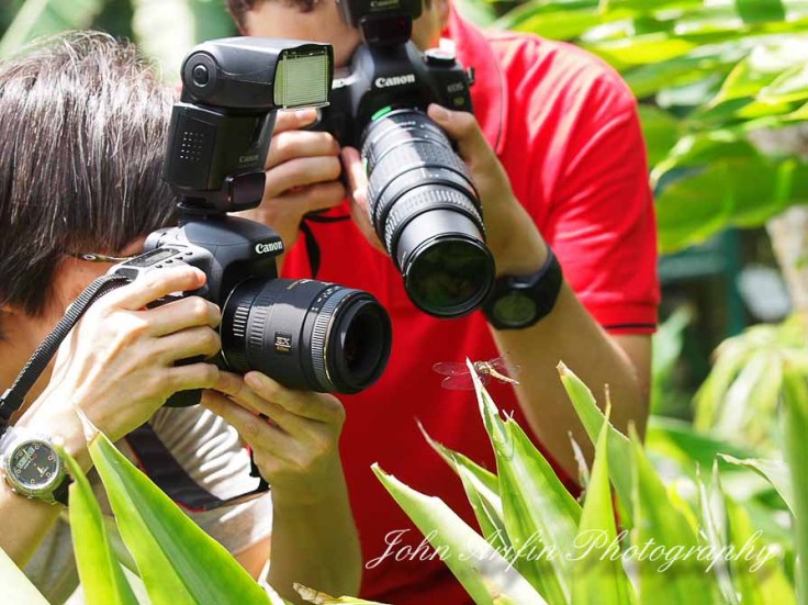 3 day macro photography workshop Singapore