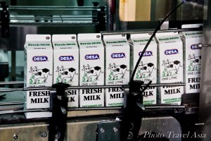 Home stay Mount Kinabalu Sabah