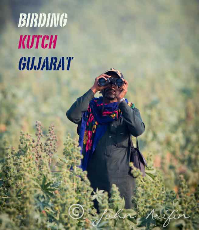 Mohamad, our bird watching guide in Kutch, Gujarat, India