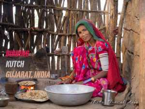 Bird watching, bird photography in Kutch, Gujarat, India