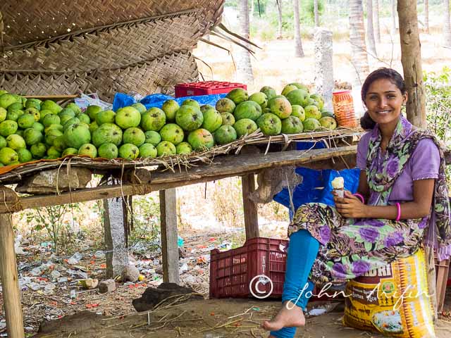Mango season in southern India 