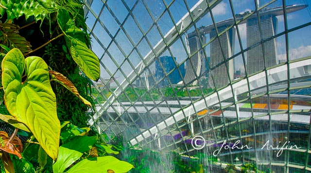Plant and landscape photography at Singapore Gardens by the Bay