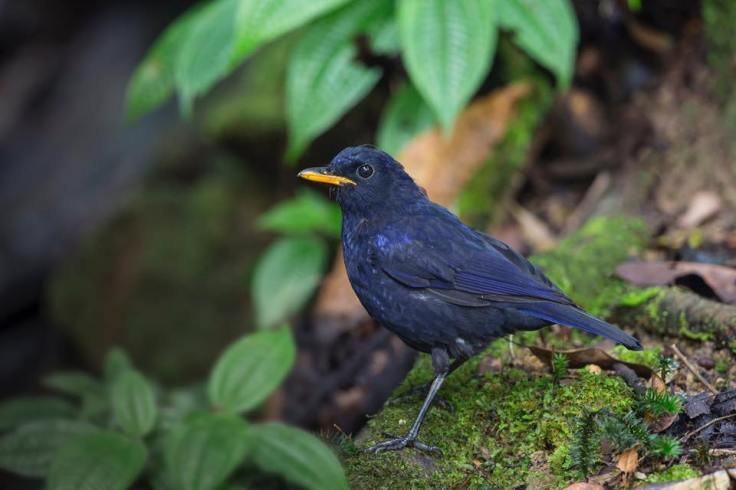 14492405_10154128612324531_395897349052684627_n