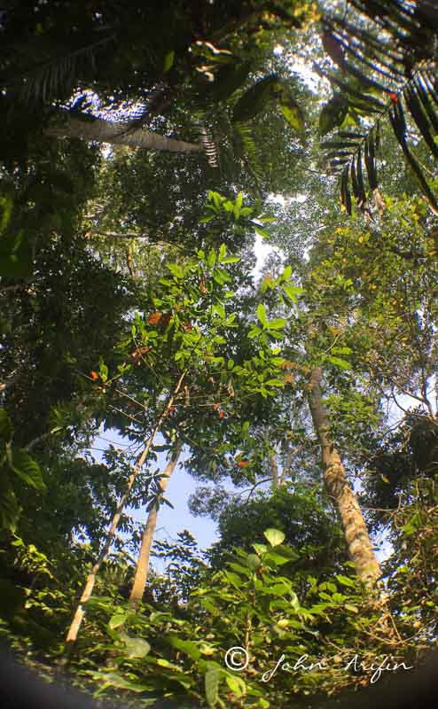 Photo Course Thailand-9591