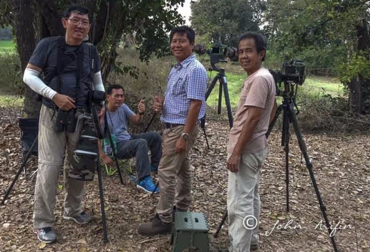 Asian Emeral Cuckoo-2641