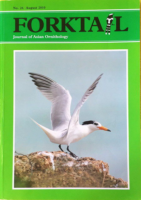 First image of Dulit Frogmouth