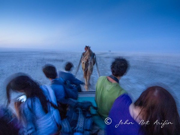 Birding in Great Rain of Kutch