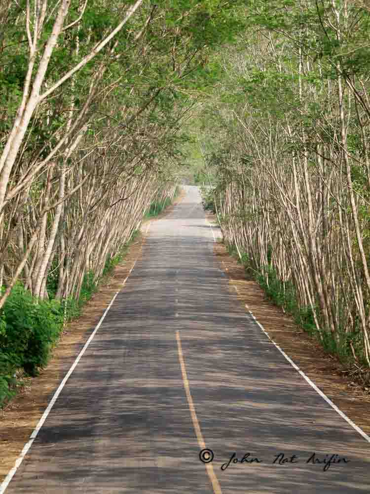 Kaeng Krachan National Park Thailand