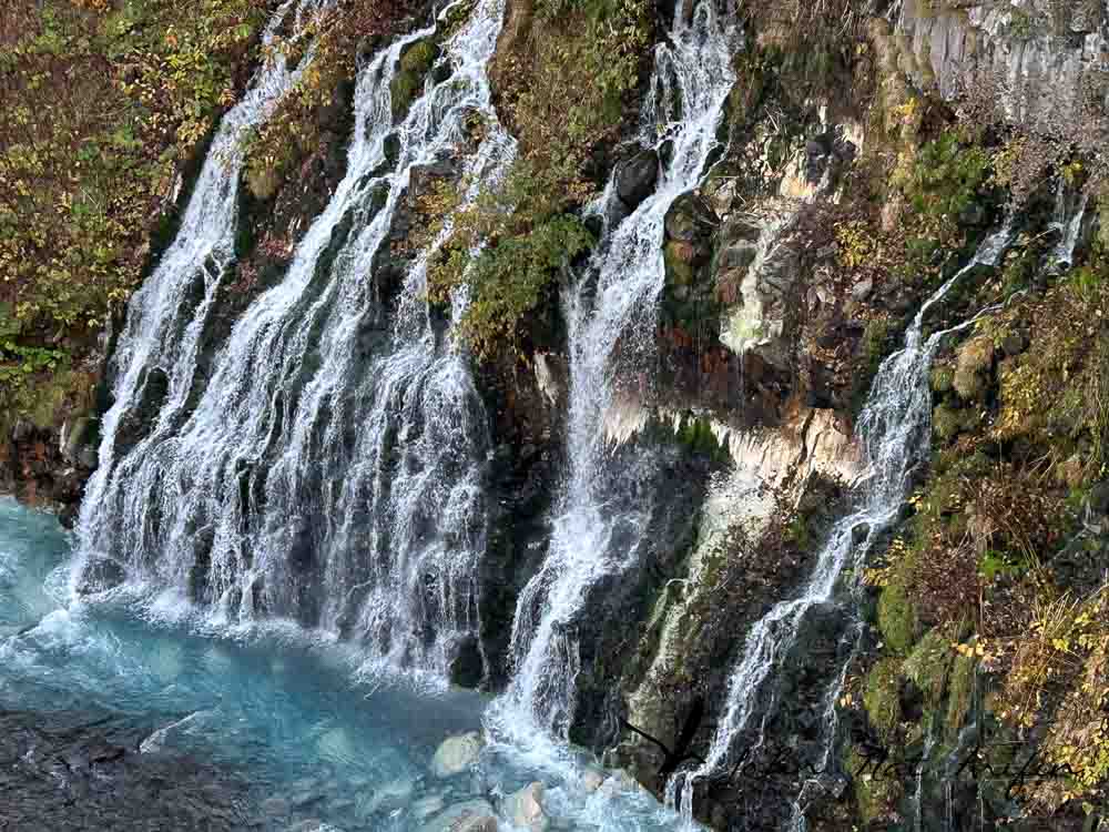 Hokkaido, Japan, Birding & Scenic Driving Road Trip in Autumn.