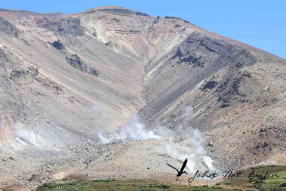 Hokkaido, Japan, Birding & Scenic Driving Road Trip in Autumn.